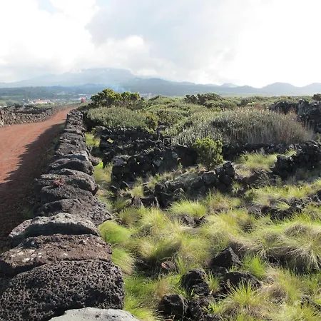 Dom wakacyjny Areias Da Prainha *